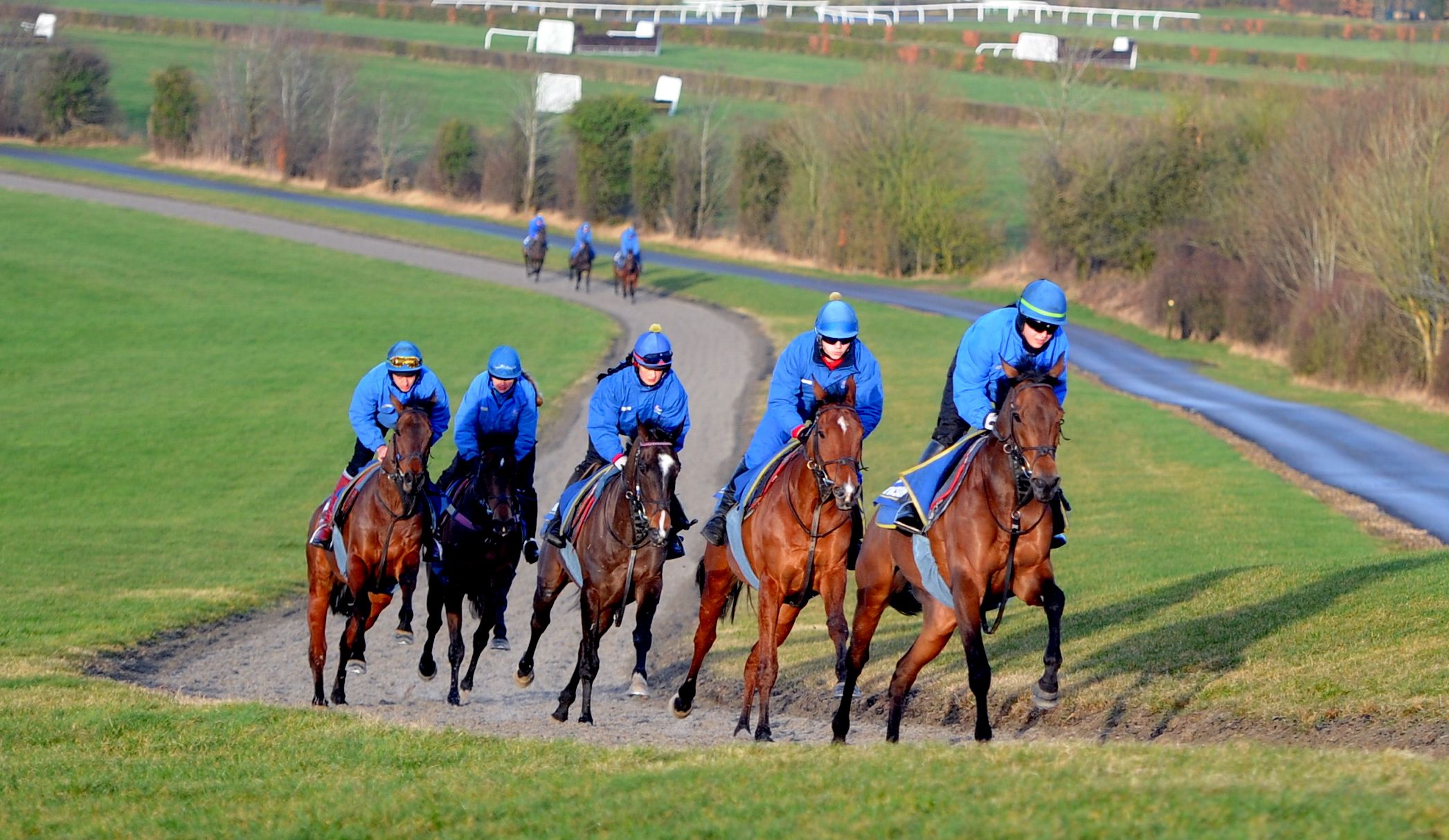 Horses training on the gallops at Jackdaws Castle, Temple Guiting. Picture by Paul Nicholls.
